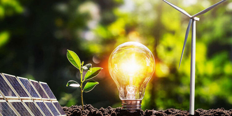 El uso de energías renovables crecerá en 2025 hasta superar las cifras de 2024 