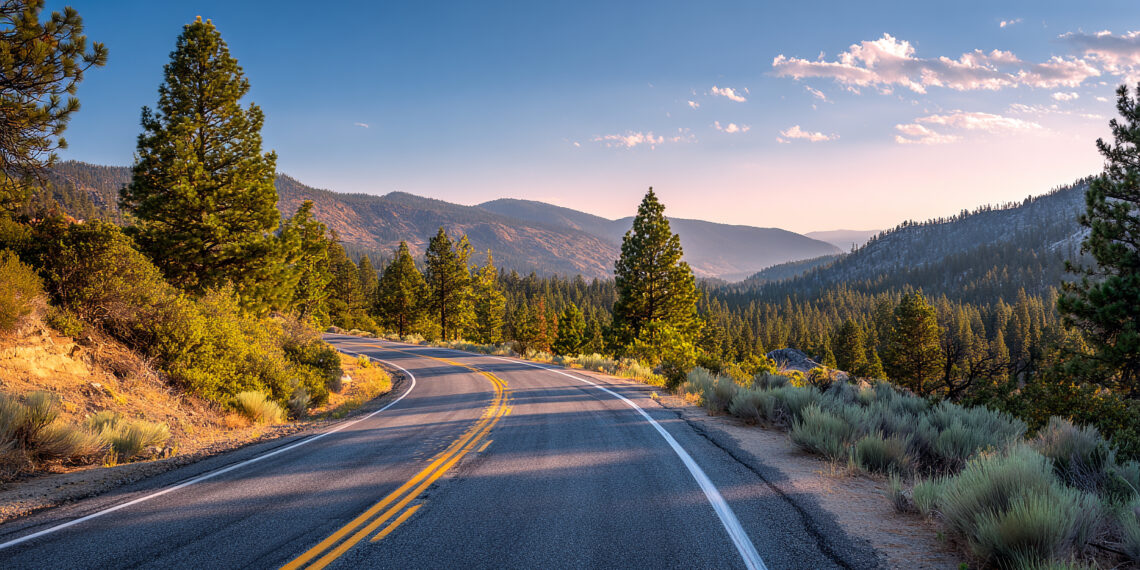 El contacto con la naturaleza mejora la vida