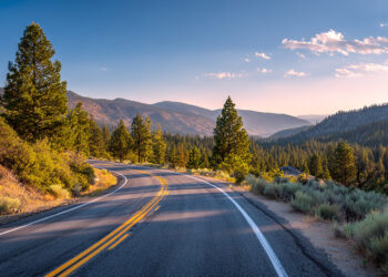 El contacto con la naturaleza mejora la vida
